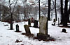 Cold Cemetary